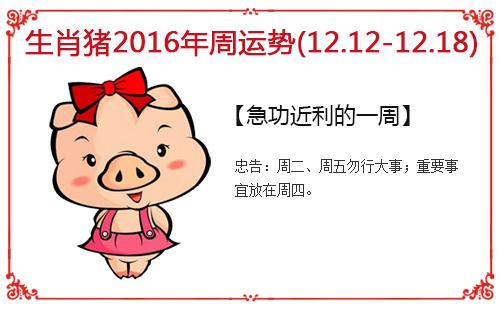 生肖猪每周运势指南(12.12-12.18)