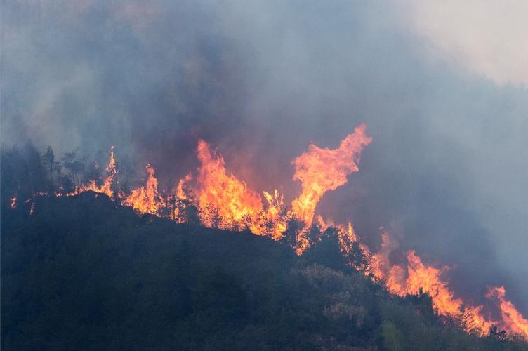 3.5青田汤洋附近大火烧山,烧掉了大片森林,起火原因不明.