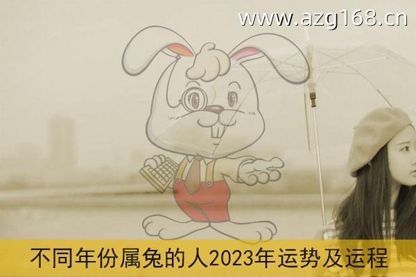 不同年份属兔的人2023年运势及运程