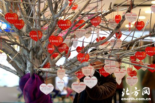 爱情树上密密麻麻的爱情卡片