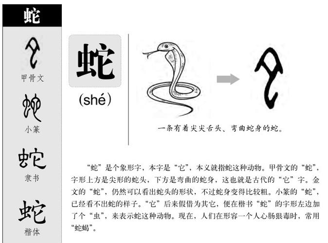 蛇字五行属什么蛇字取名有什么意义